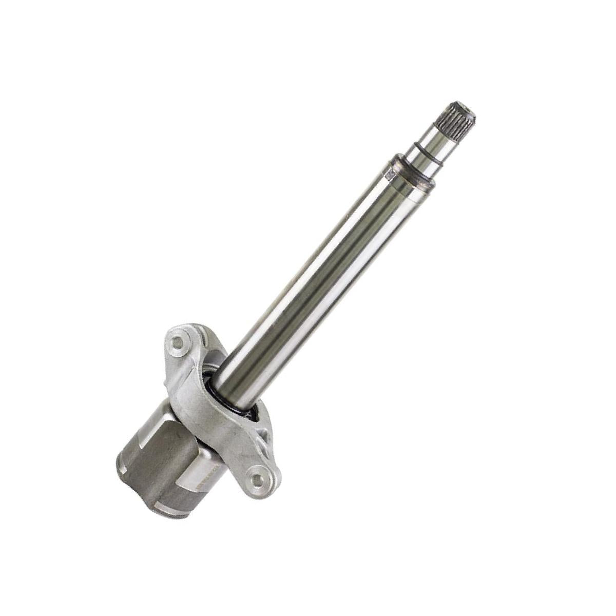 Tulipa Direita - Vetor - Vt5406 - (1)