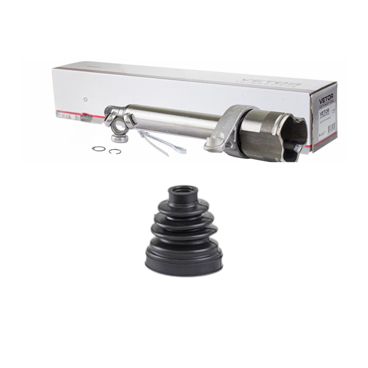 Tulipa Direita - Vetor - Vt5406 - (2)