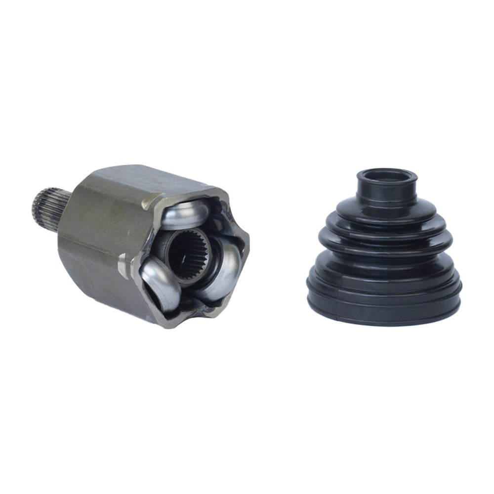Tulipa Direita ou Esquerda - Vetor - Vt5634 - (7)