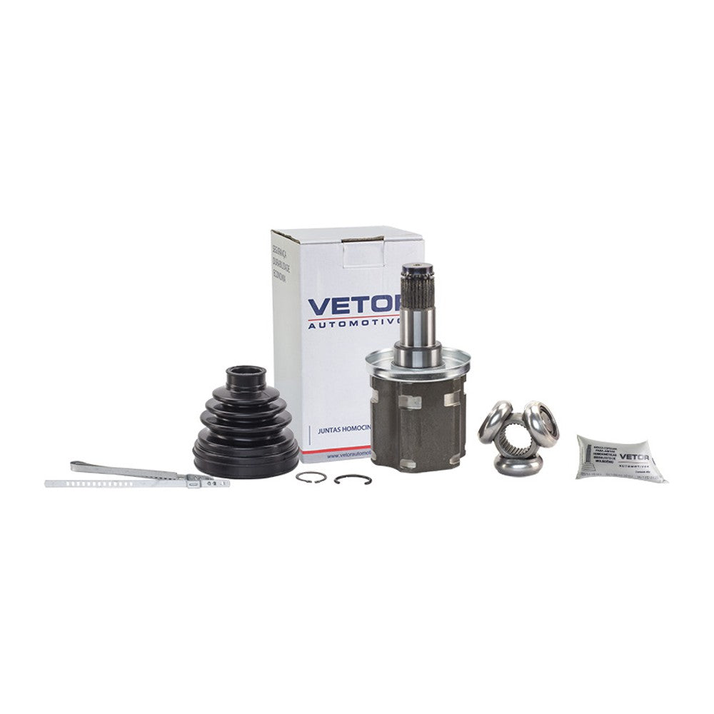Tulipa Lado Direito - Vetor - Vt5388 - (1)
