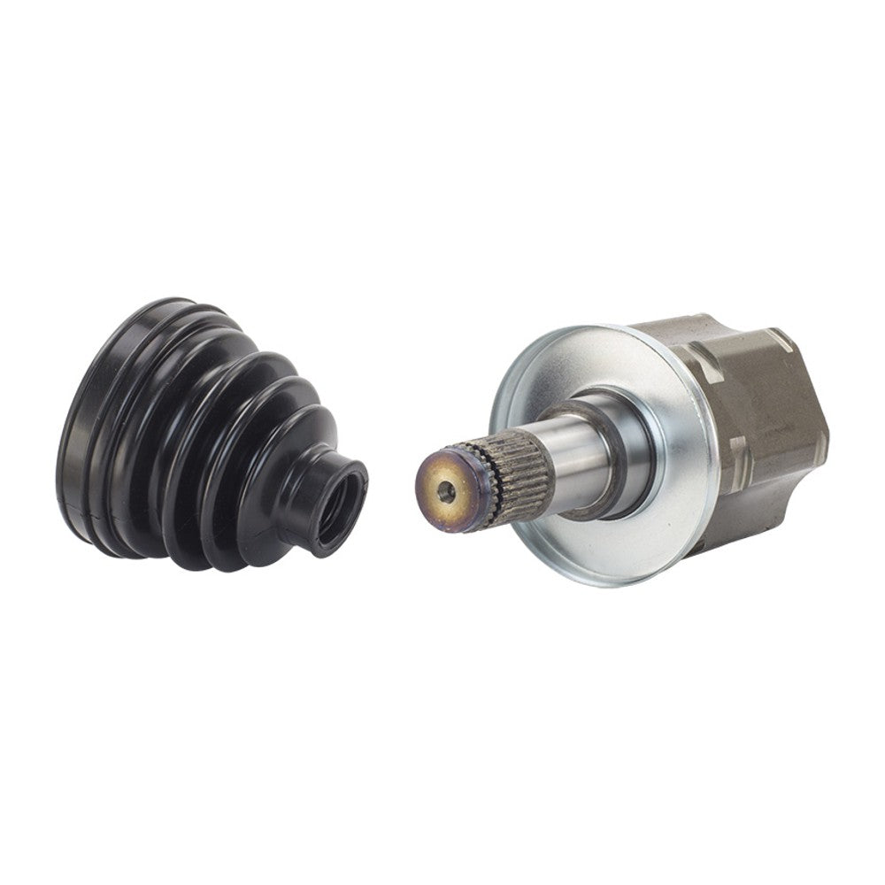 Tulipa Lado Direito - Vetor - Vt5388 - (4)