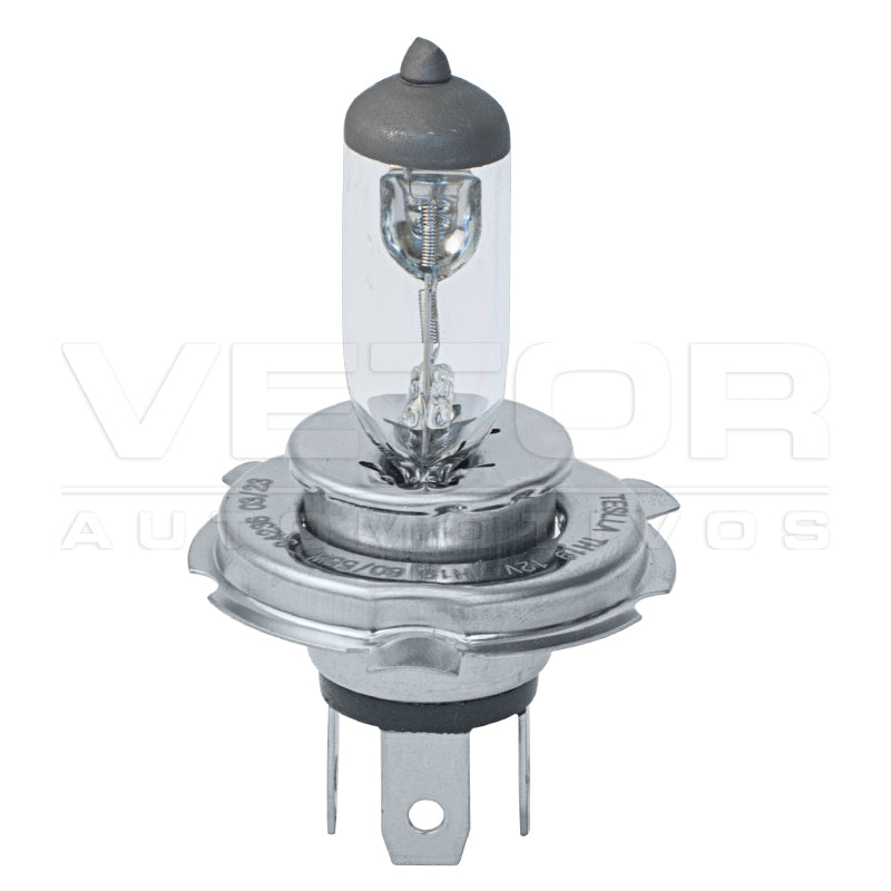 Lâmpada Halógena 12V 60/55W - Teslla - Th19 - (3)