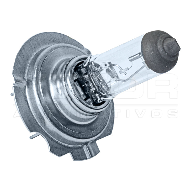 Lâmpada Halógena 12V 65W - Teslla - Th18 - (3)