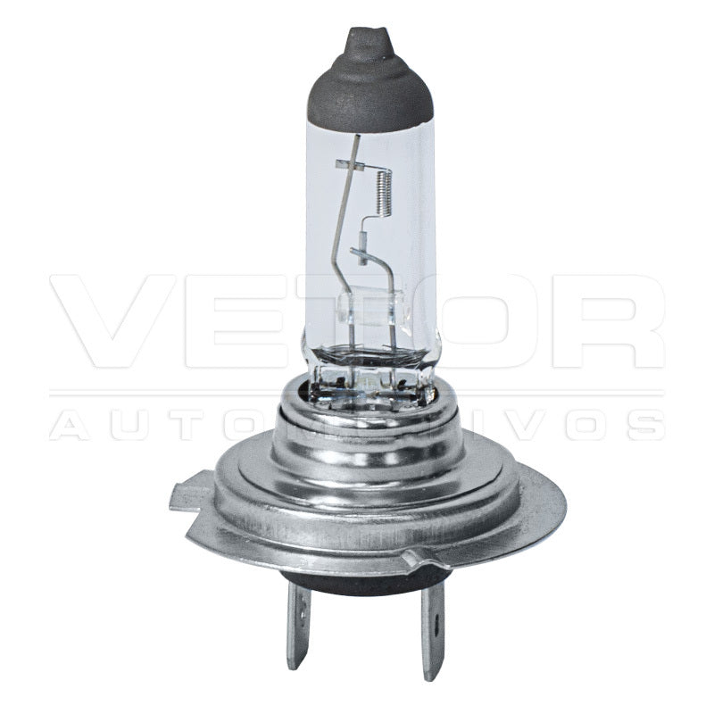 Lâmpada Halógena 12V 65W - Teslla - Th18 - (4)