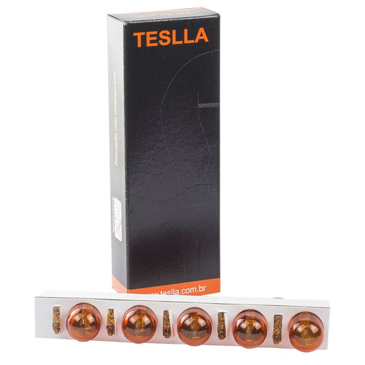 10 Lâmpadas Âmbar 12V 21/5W - Teslla - T6942Ab - (1)