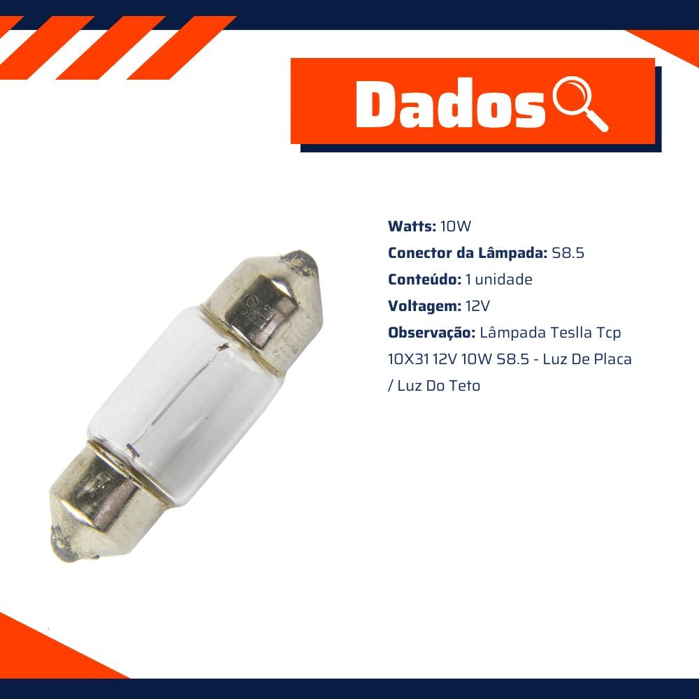 10 Lâmpadas 12V 10W - Teslla - T6431 - (4)