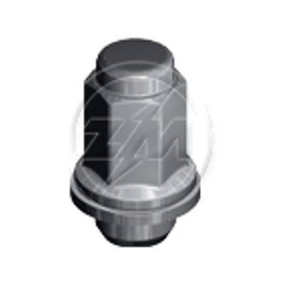 Kit 50 Porca da Roda M12-1,5 x CH21 x H47 - ZM - 29.012.23 - (1)