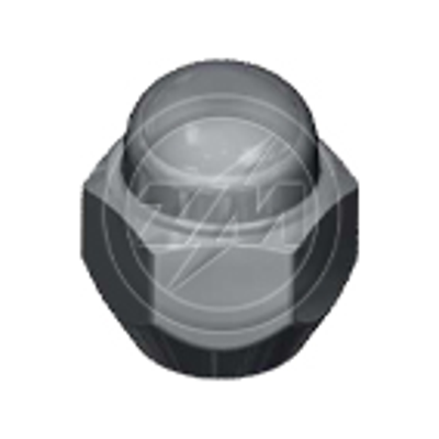 Kit 50 Porca da Roda M12-1,25 x CH21 x H25,5 - ZM - 2901275 - (1)