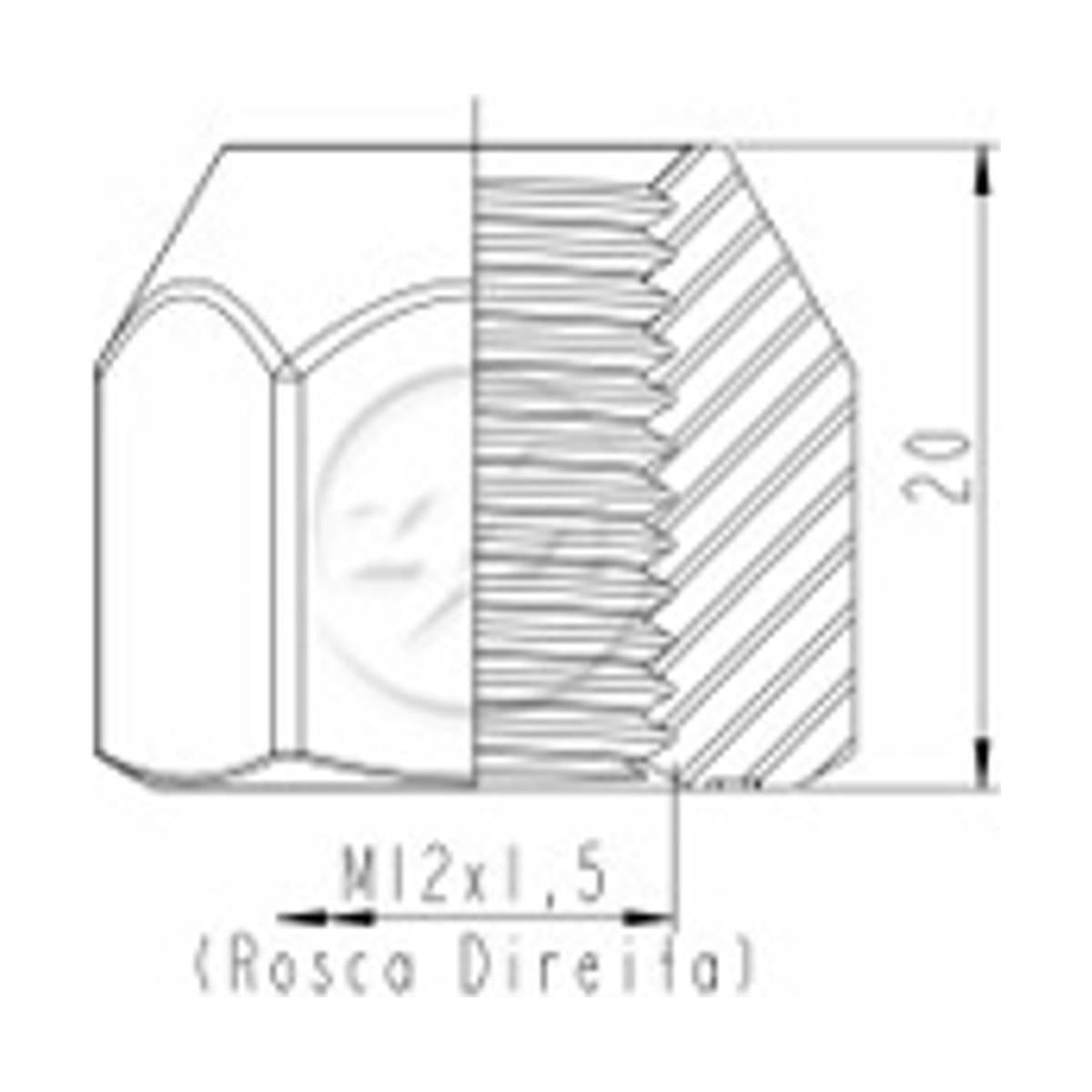 Kit 100 Porca da Roda M12-1,5 x CH21 x H20 - ZM - 29.012.88 - (2)