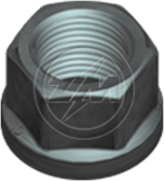Kit 100 Porca da Roda M18-1,5 x CH24 x H19 - ZM - 29.018.01 - (1)