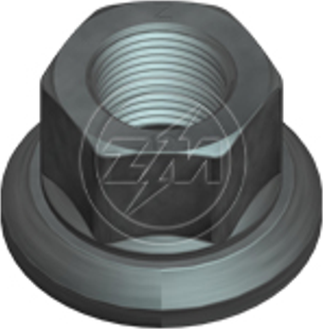 Kit 30 Porca da Roda M20-1,5 x CH30 x H27 - ZM - 29.020.05 - (1)