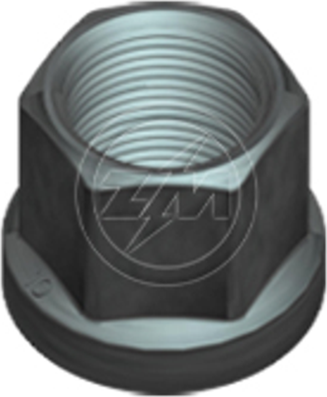 Kit 50 Porca da Roda M22-1,5 x CH27 x H28 - ZM - 29.022.01 - (1)