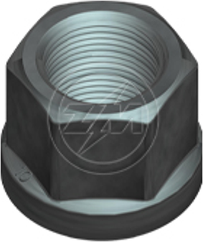 Kit 50 Porca da Roda M22-1,5 x CH30 x H28 - ZM - 29.022.02 - (1)
