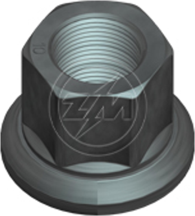 Kit 30 Porca da Roda M22-1,5 x CH32 x H33 - ZM - 29.022.04 - (1)