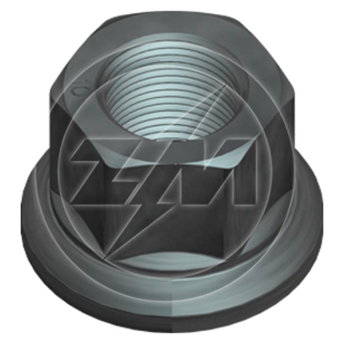 Kit 30 Porca da Roda M22-1,5 x CH33 x H30 - ZM - 29.022.05 - (1)