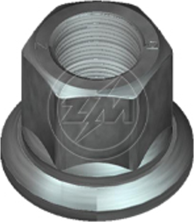Kit 25 Porca da Roda M22-1,5 x CH32 x H36 - ZM - 29.022.06 - (1)
