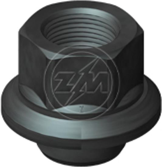 Kit 25 Porca Centralizadora Roda M22x1,5xCH32 - ZM - 2902243 - (1)