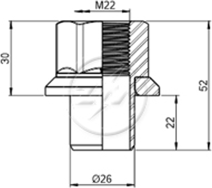 Kit 20 Porca Centralizadora Roda M22x1,5xCH33/52 - ZM - 2902255 - (2)