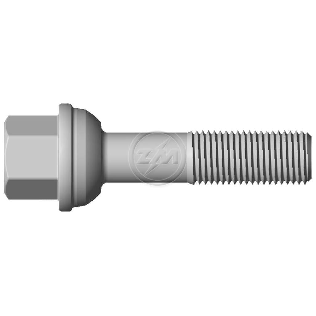 Kit 30 Parafuso de Roda M14-1,5 x 54/79 x CH19 - ZM - 3001414 - (1)