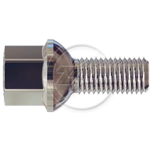 Kit 50 Parafuso de Roda M12-1,5 x 24/46 x CH17 - ZM - 3041250 - (1)