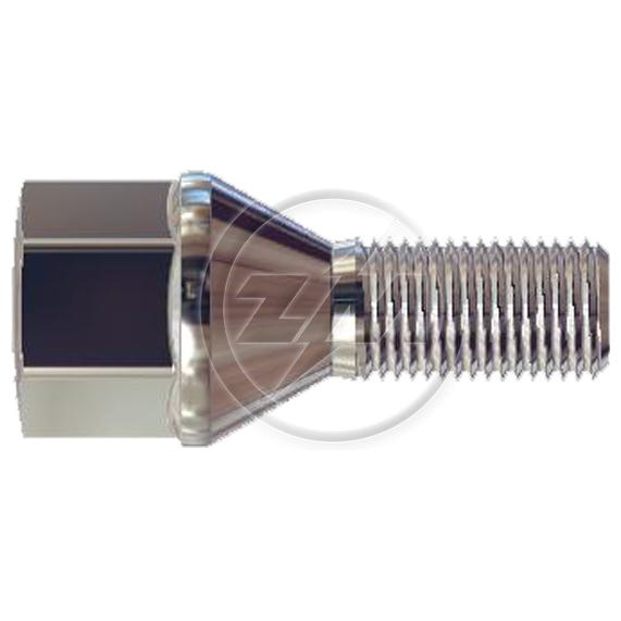 Kit 50 Parafuso de Roda M12-1,25 x 23/49,5 x CH19 - ZM - 3041269 - (1)