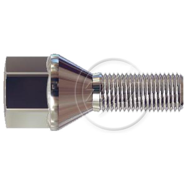 Kit 50 Parafuso de Roda M12-1,25 x 27/53,5 x CH19 - ZM - 3041270 - (1)