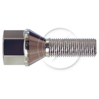 Kit 50 Parafuso de Roda M12-1,25 x 31/57,5 x CH19 - ZM - 3041271 - (1)