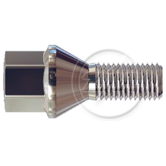 Kit 50 Parafuso de Roda M12-1.5 x 23/49,5 x CH17 - ZM - 3041281 - (1)