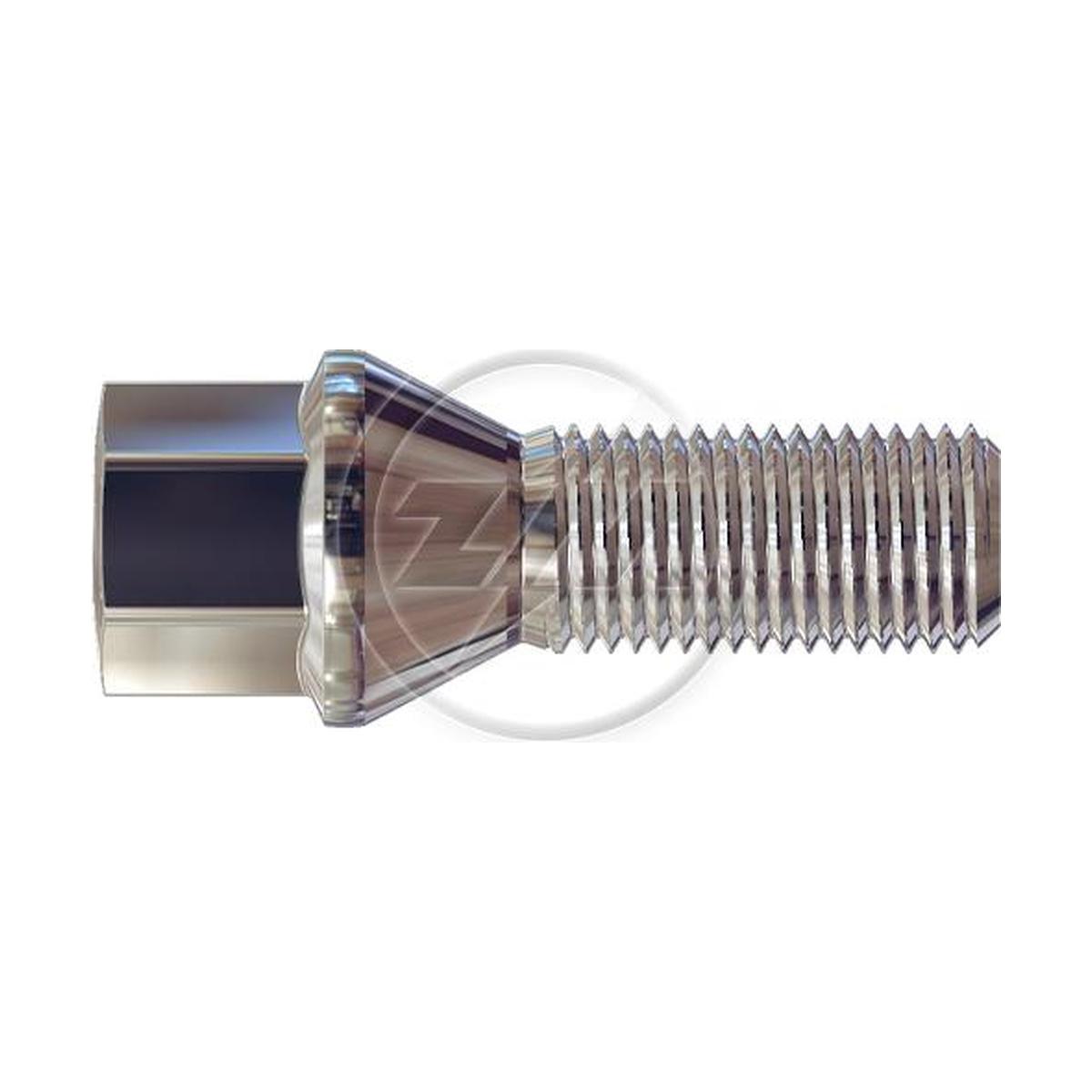 Kit 50 Parafuso de Roda M14-1,5 x 29/55 x CH17 - ZM - 3041451 - (1)
