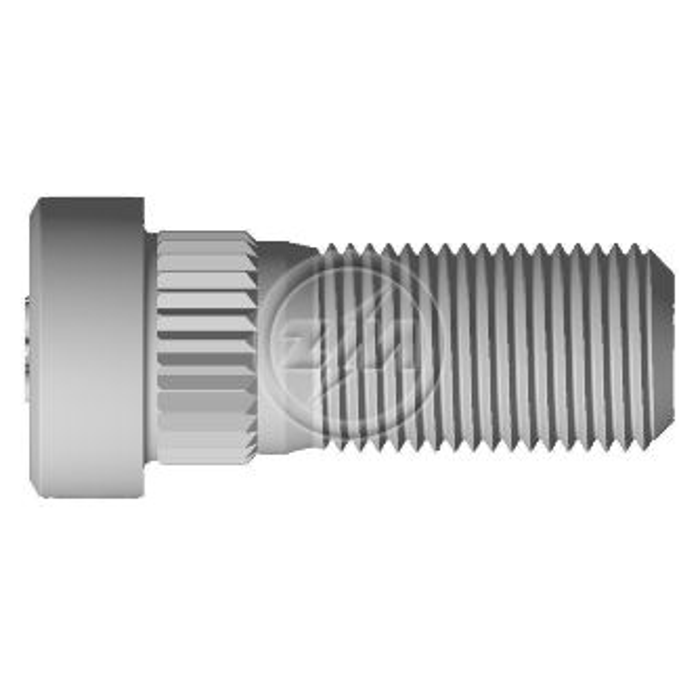 Kit 80 Parafuso Freio Mão M11-1,00 X 28/34 X CH14 - ZM - 3201101 - (1)