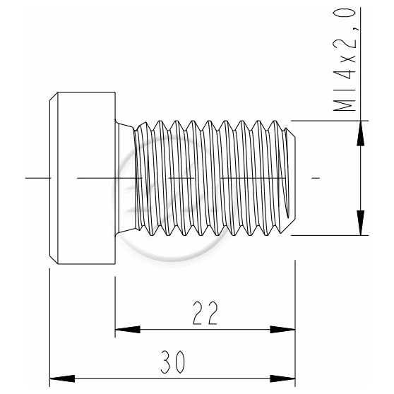 Kit 100 Parafuso da Quinta Roda M14-2,0 X 22 X CH10 - ZM - 3201458 - (2)