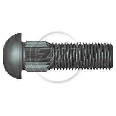 Kit 100 Parafuso Cravo Alto 3/8"-24F X 1,1/4" - ZM - 3230820 - (1)