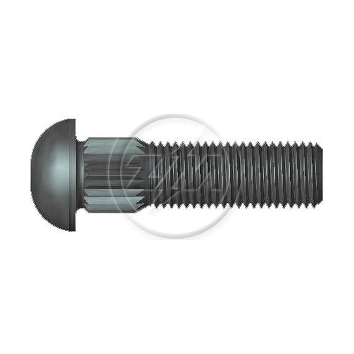 Kit 100 Parafuso Cravo Alto 3/8"-24F X 1,3/8" - ZM - 3230821 - (1)