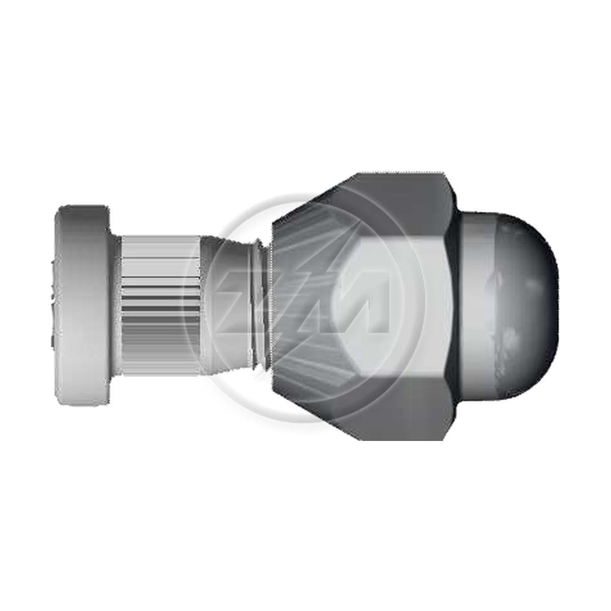 Kit 50 Parafuso Roda M12-1,25x32/37xCH21xH25,5 - ZM - 4001203 - (1)