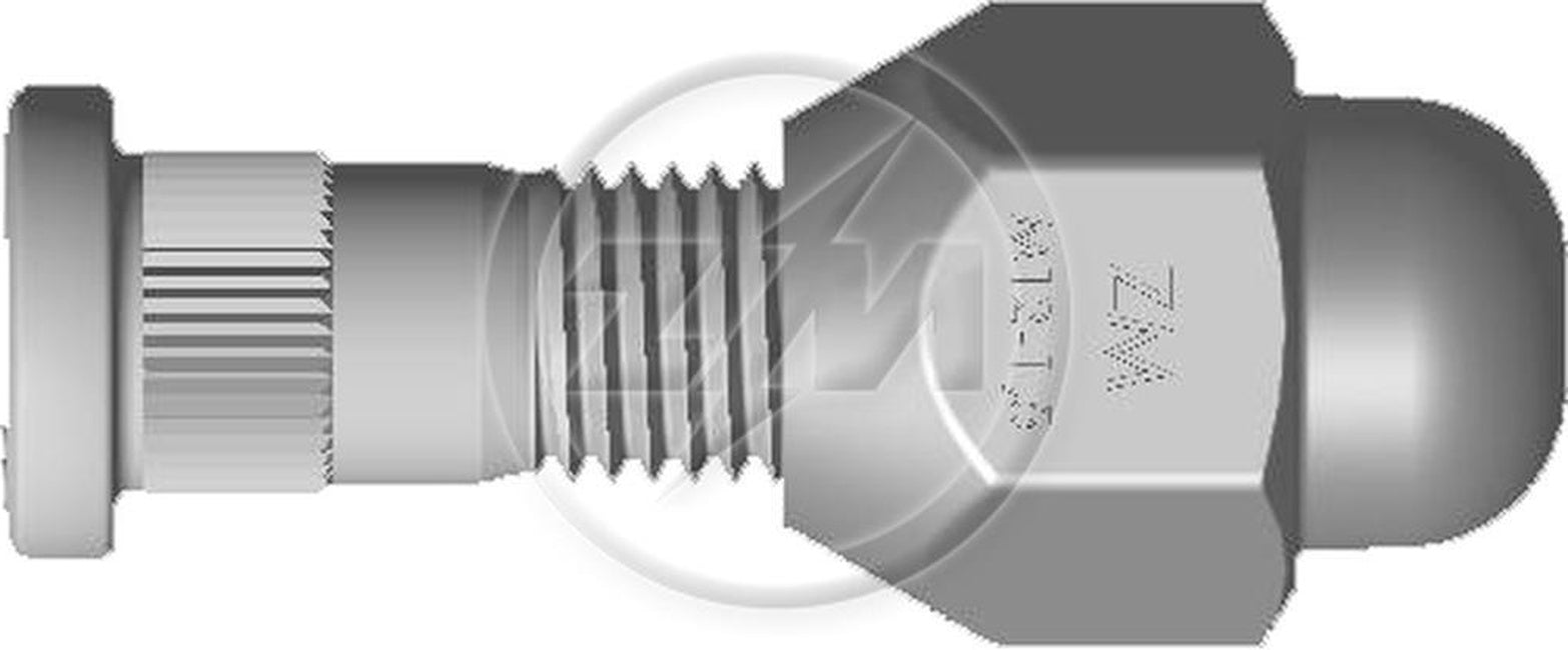 Kit 50 Parafuso Roda M12-1,5x45/49xCH21xH29 - ZM - 40.012.54 - (1)