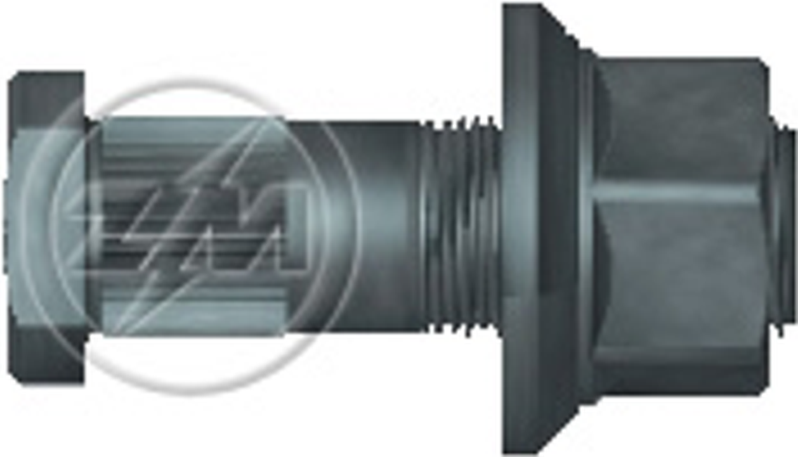 Kit 30 Parafuso Roda M22-1,5x72/80xCH32xH27 - ZM - 40.022.38 - (1)