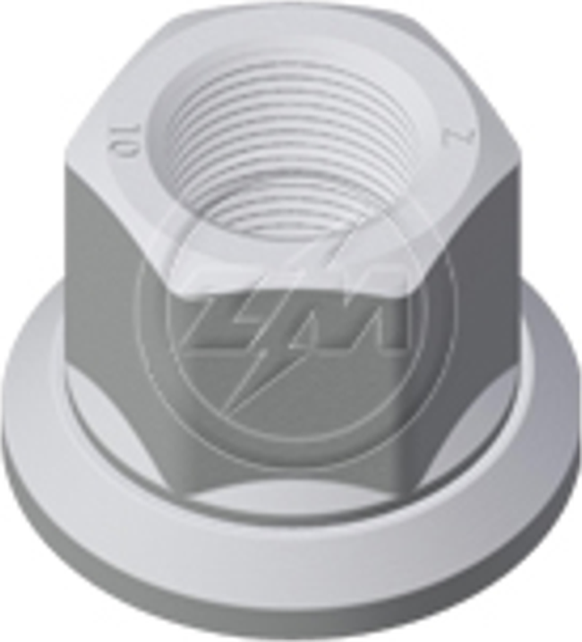 Kit 30 Porca da Roda M22-1,5 x CH32 x H33 - ZM - 529.022.04 - (1)