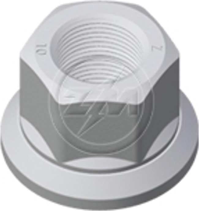 Kit 30 Porca da Roda M22-1,5 x CH33 x H30 - ZM - 529.022.05 - (1)