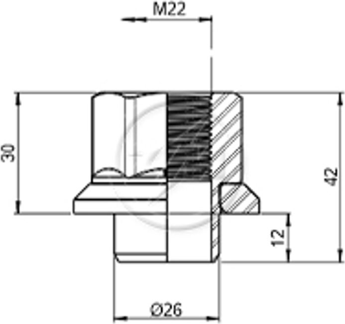 Kit 25 Porca Centralizadora Roda M22-1,5xCH33 - ZM - 52902245 - (2)