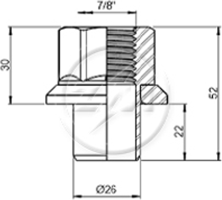 Kit 20 Porca Centralizadora Roda 7/8"xCH1,5/16" - ZM - 52978051 - (2)