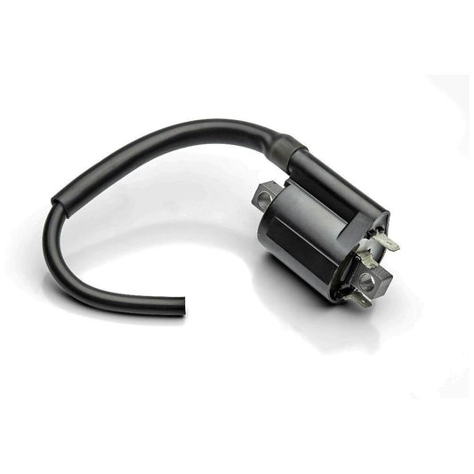 Bobina de Ignição 12V - Magnetron - 90202490 - (1)