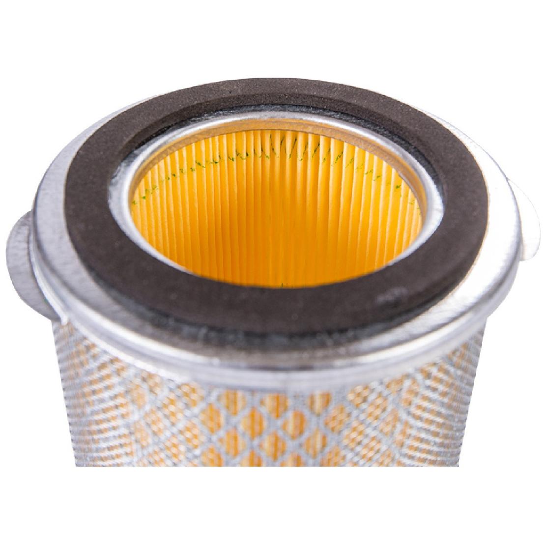 Filtro de Ar do Motor - Fram - CA12199 - (2)