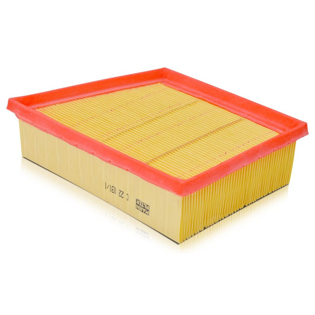 Filtro de Ar - Mann-Filter - C22031/1 - (1)