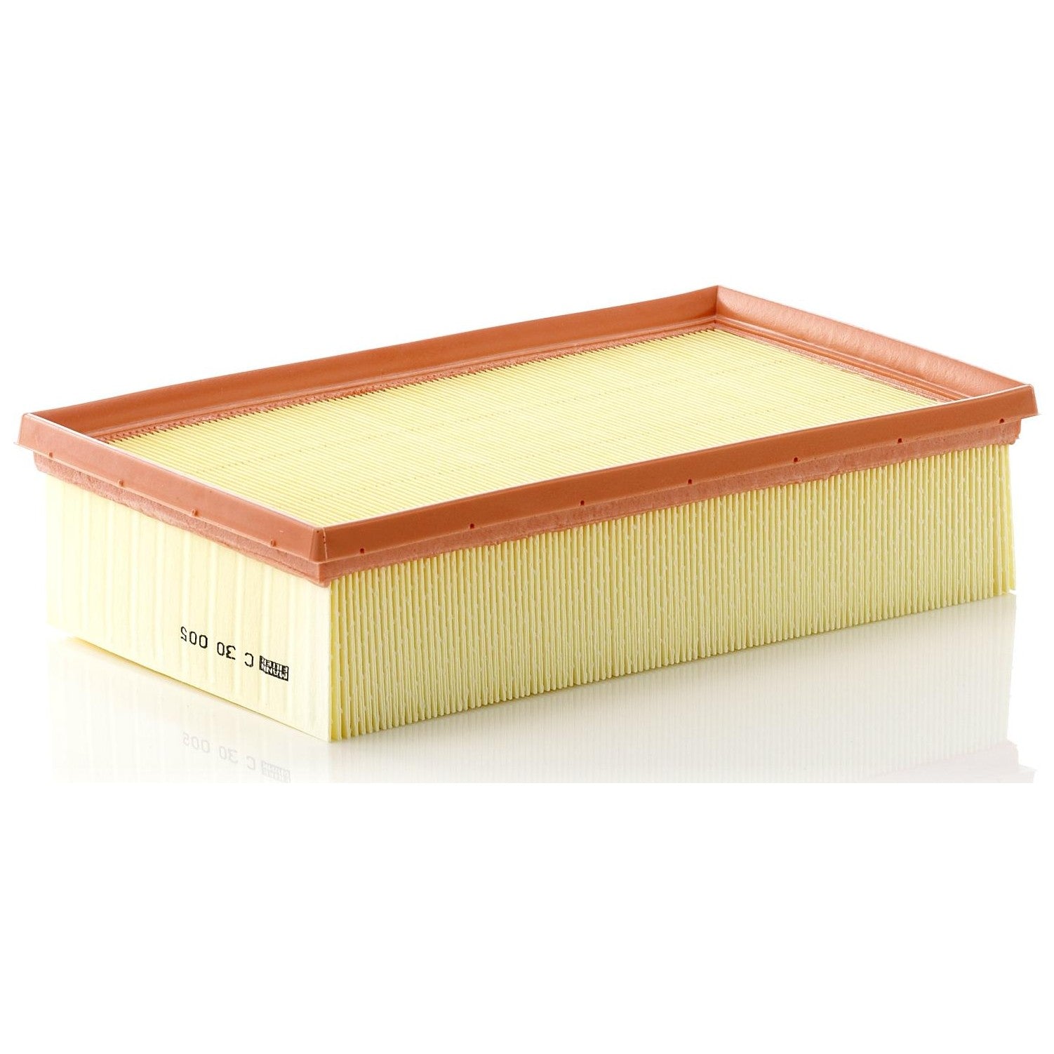 Filtro de Ar - Mann-Filter - C30005 - (1)