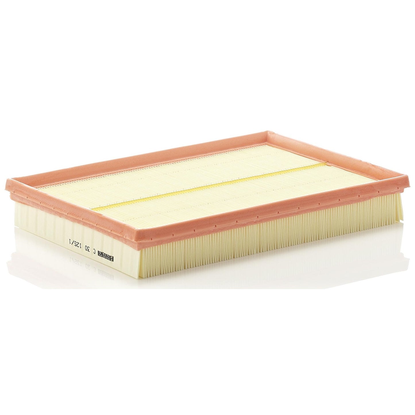 Filtro de Ar - Mann-Filter - C30125/1 - (1)