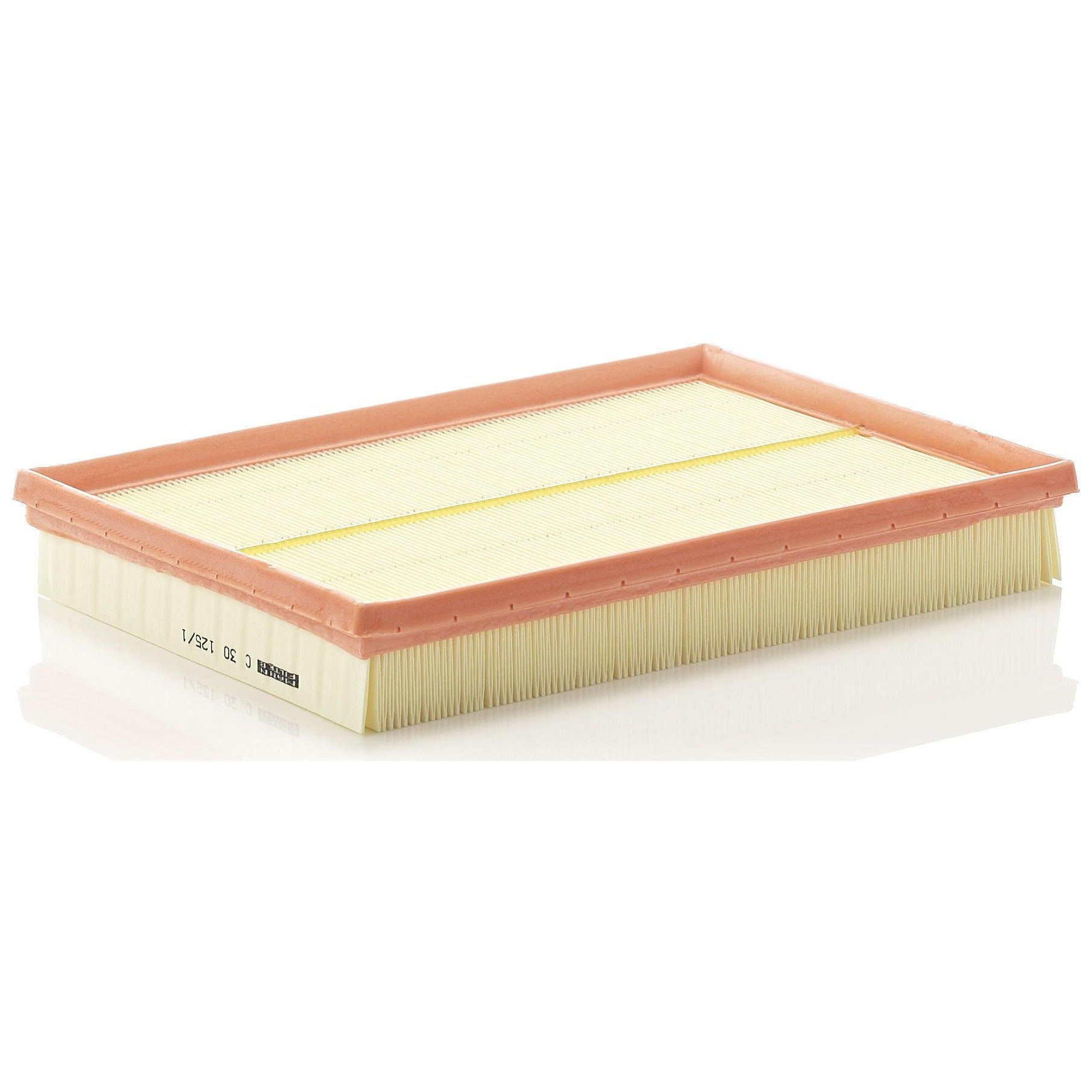 Filtro de Ar - Mann-Filter - C30125/1 - (1)