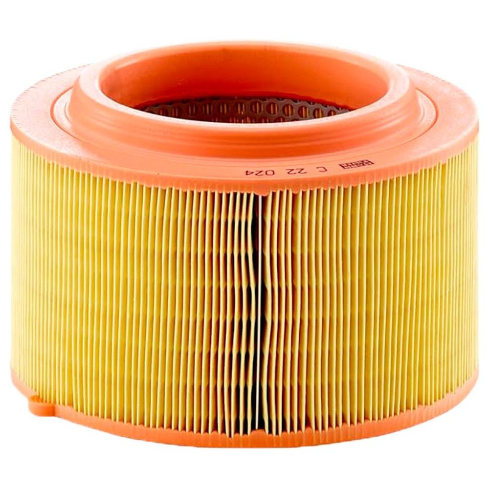 Filtro de Ar - Mann-Filter - C22024 - (2)