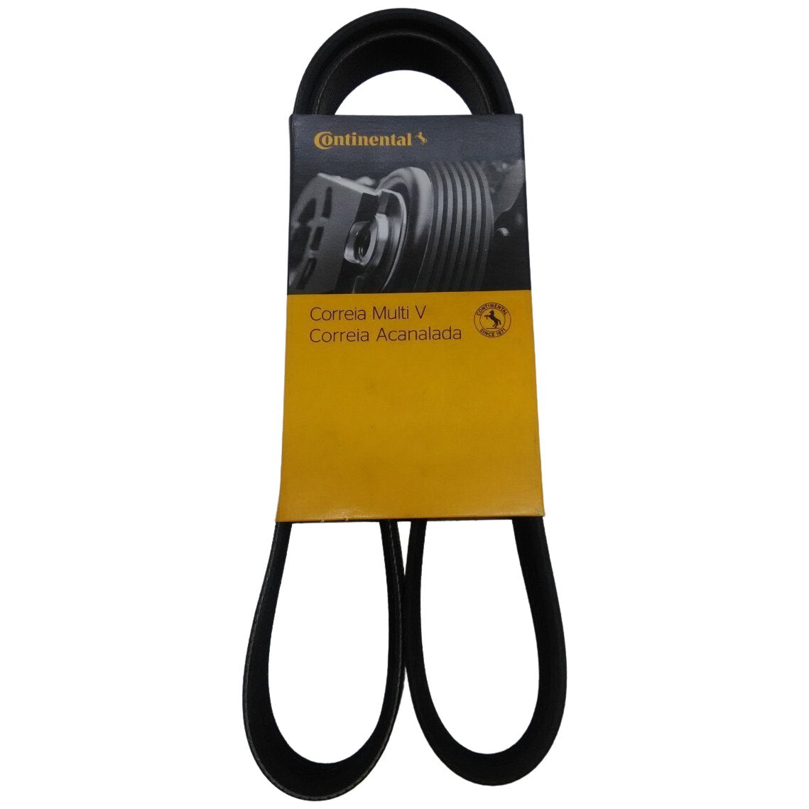 Correia acessórios Micro V - Continental Contitech - 5PK1130 - (1)