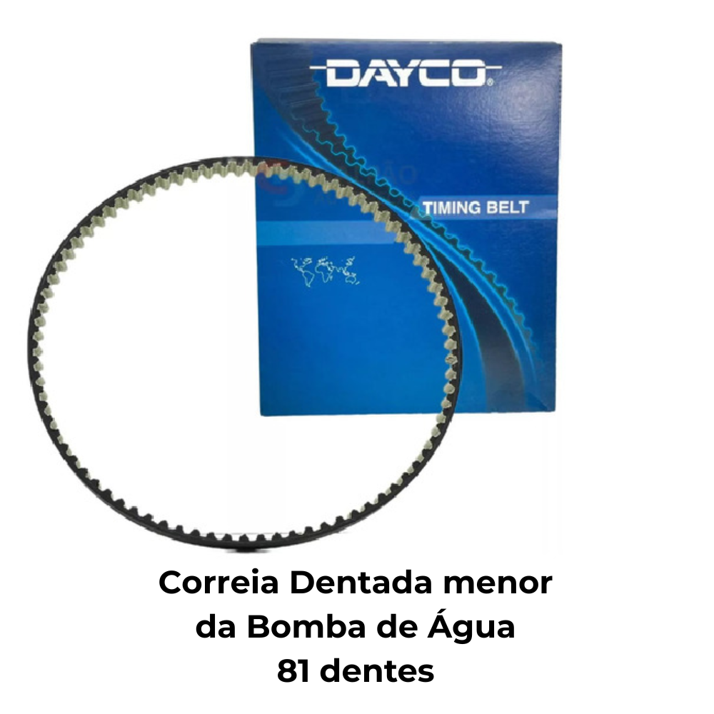 Correia Dentada Sincronizadora - Dayco - 081STP5M100HT - (3)