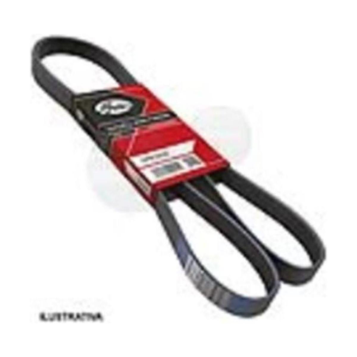 Correia de Acessórios PK Micro V - GATES - 6PK0985 - (2)